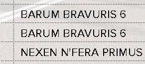 Barum Bravuris 5