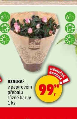 AZALKA - Penny Market aktualniletaky.eu
