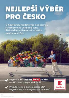 aktuální leták Kaufland 4.6.2025-10.6.2025