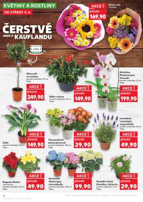 aktuální leták Kaufland 4.6.2025-10.6.2025