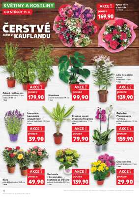 aktuální leták Kaufland 11.6.2025-17.6.2025