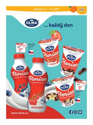 aktuální leták Globus 11.6.2025-17.6.2025