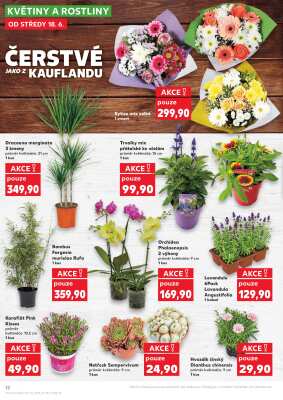 aktuální leták Kaufland 18.6.2025-24.6.2025
