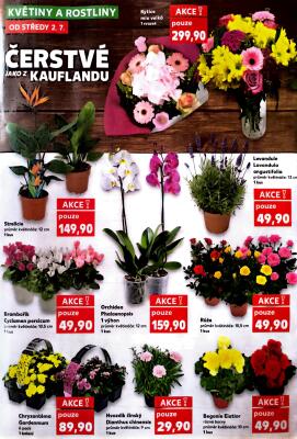 aktuální leták Kaufland 2.7.2025-8.7.2025