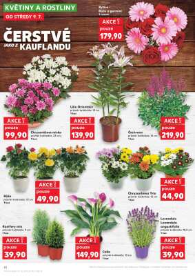 aktuální leták Kaufland 9.7.2025-15.7.2025