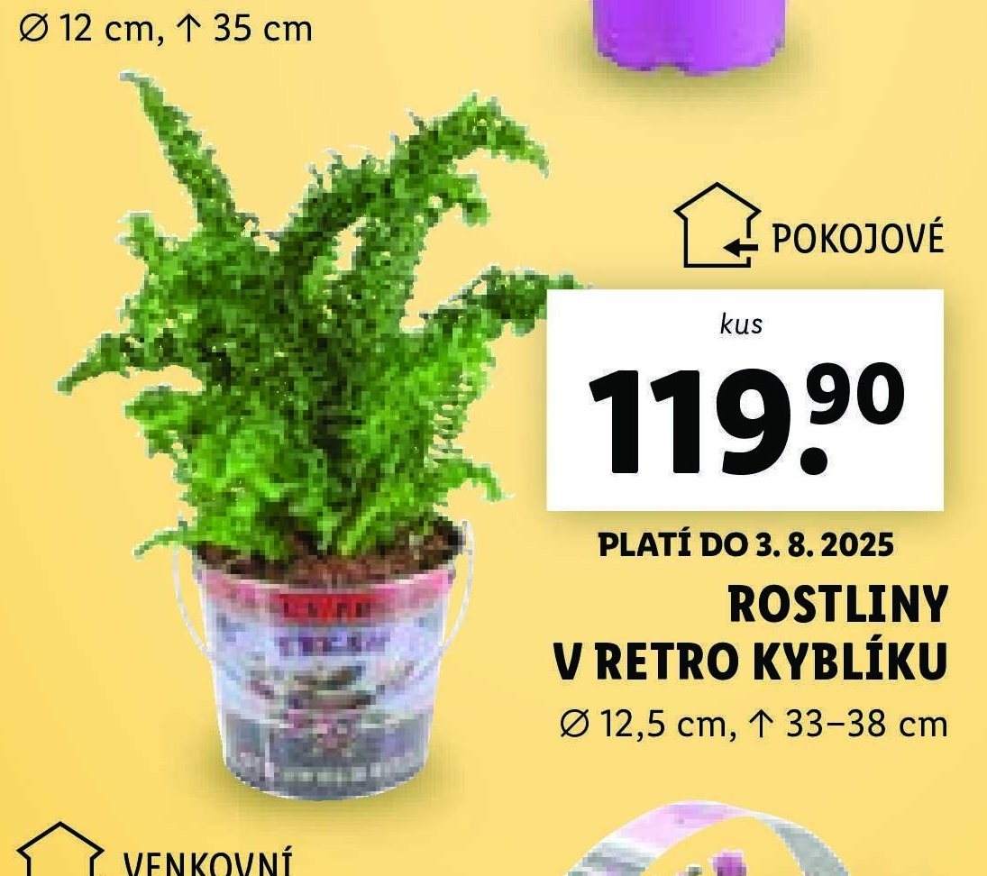 Rostliny v retro kyblíku - Lidl aktualniletaky.eu