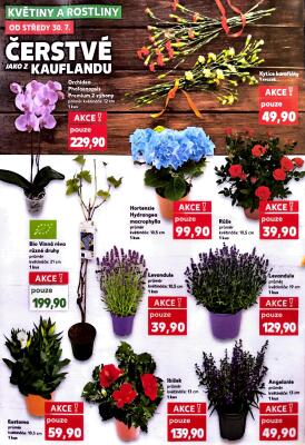 aktuální leták Kaufland 30.7.2025-5.8.2025