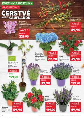 aktuální leták Kaufland 30.7.2025-5.8.2025
