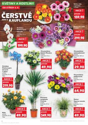 aktuální leták Kaufland 6.8.2025-12.8.2025