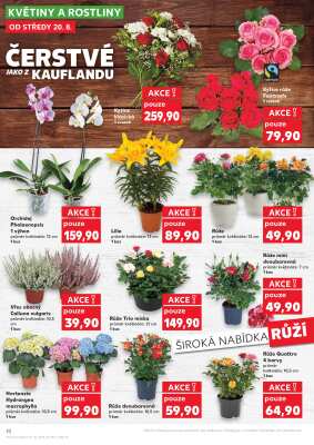 aktuální leták Kaufland 20.8.2025-26.8.2025