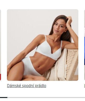 Dámské spodní prádlo - Tchibo aktualniletaky.eu