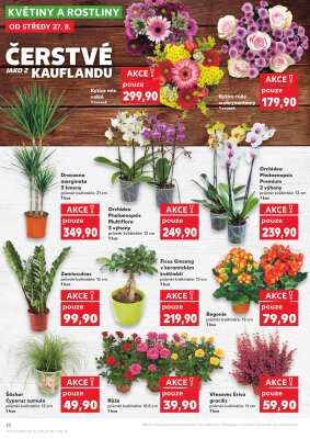 aktuální leták Kaufland 27.8.2025-2.9.2025