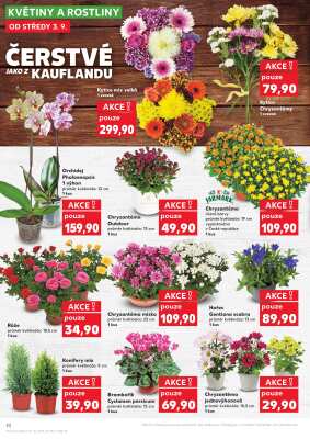 aktuální leták Kaufland 3.9.2025-9.9.2025