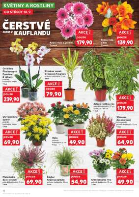 aktuální leták Kaufland 10.9.2025-16.9.2025