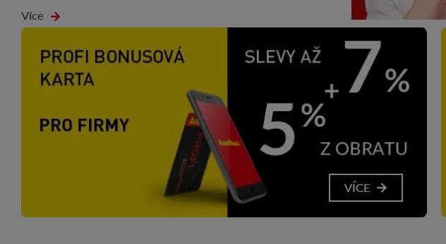 Profi bonusová karta pro firmy - bauMax aktualniletaky.eu