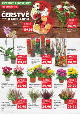 aktuální leták Kaufland 1.10.2025-7.10.2025