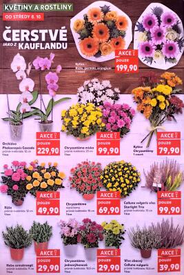 aktuální leták Kaufland 8.10.2025-14.10.2025