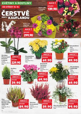 aktuální leták Kaufland 15.10.2025-21.10.2025