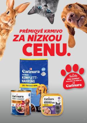 aktuální leták Kaufland 15.10.2025-21.10.2025