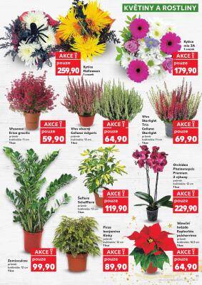aktuální leták Kaufland 29.10.2025-4.11.2025