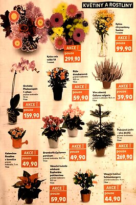 aktuální leták Kaufland 5.11.2025-11.11.2025