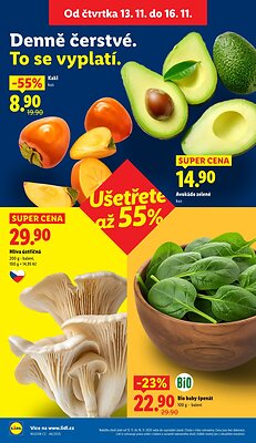 Lidl leták od čtvrtka strana 10
