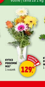 KYTICE PODZIMNÍ MIX - Penny Market aktualniletaky.eu