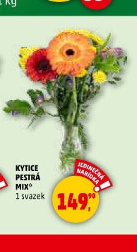 KYTICE PESTRÁ MIX - Penny Market aktualniletaky.eu