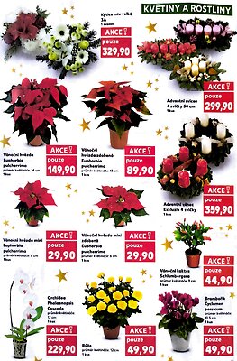 aktuální leták Kaufland 26.11.2025-2.12.2025