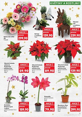 Kaufland leták - Super ceny pro vaše dokonalé Vánoce strana 15