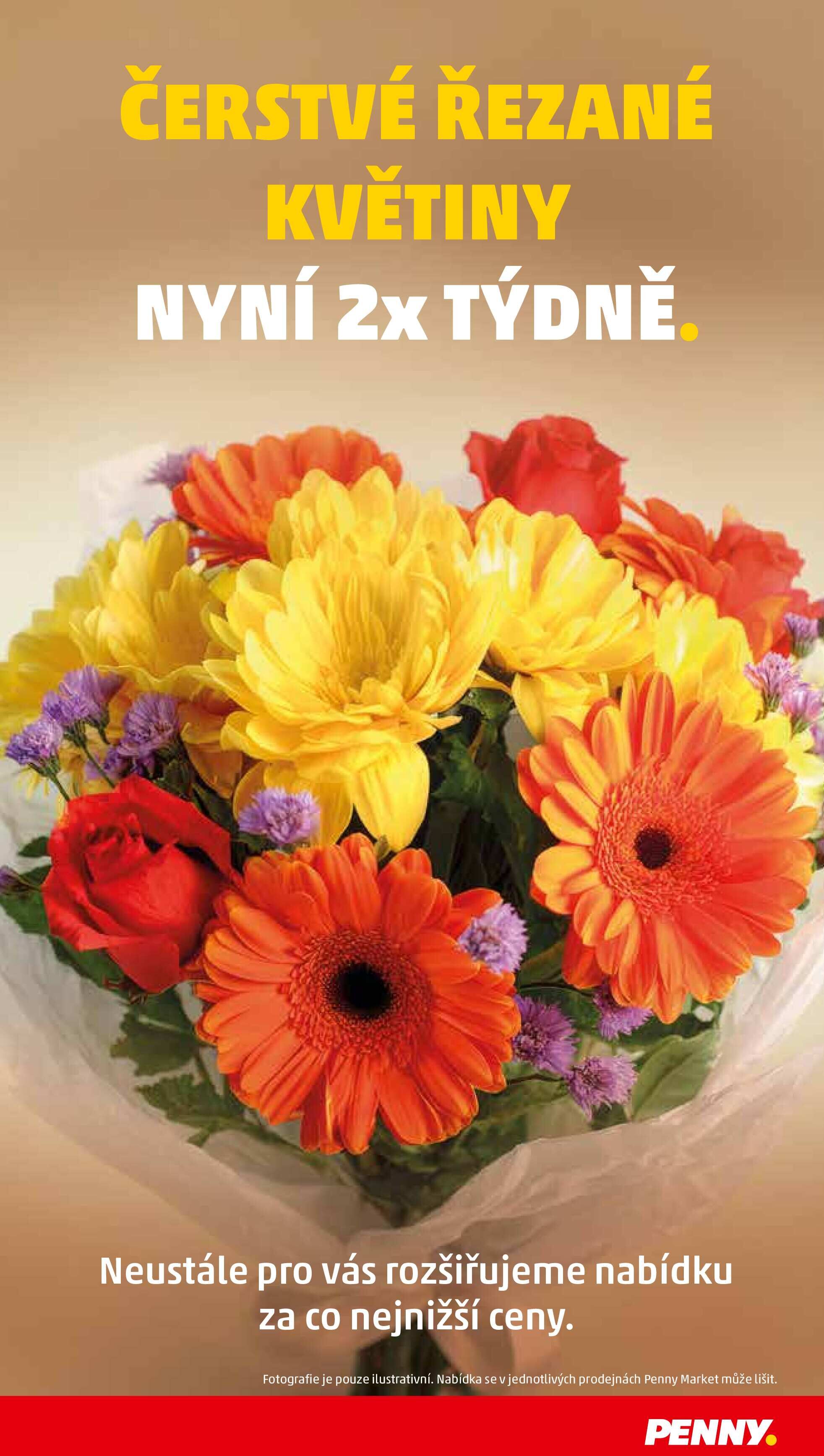 Penny akční leták Penny Market strana 36