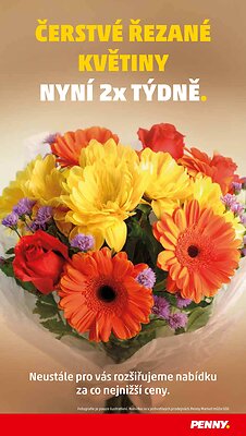 Penny akční leták strana 36