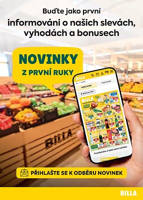 BILLA velký leták strana 29