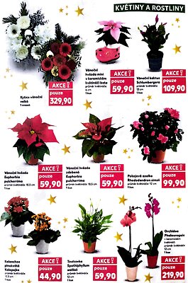 aktuální leták Kaufland 17.12.2025-24.12.2025