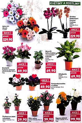 aktuální leták Kaufland 27.12.2025-31.12.2025