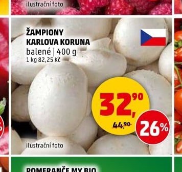 Žampiony Karlova Koruna - Penny Market aktualniletaky.eu