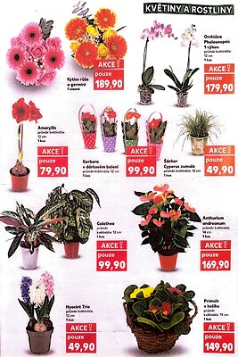 aktuální leták Kaufland 2.1.2026-6.1.2026