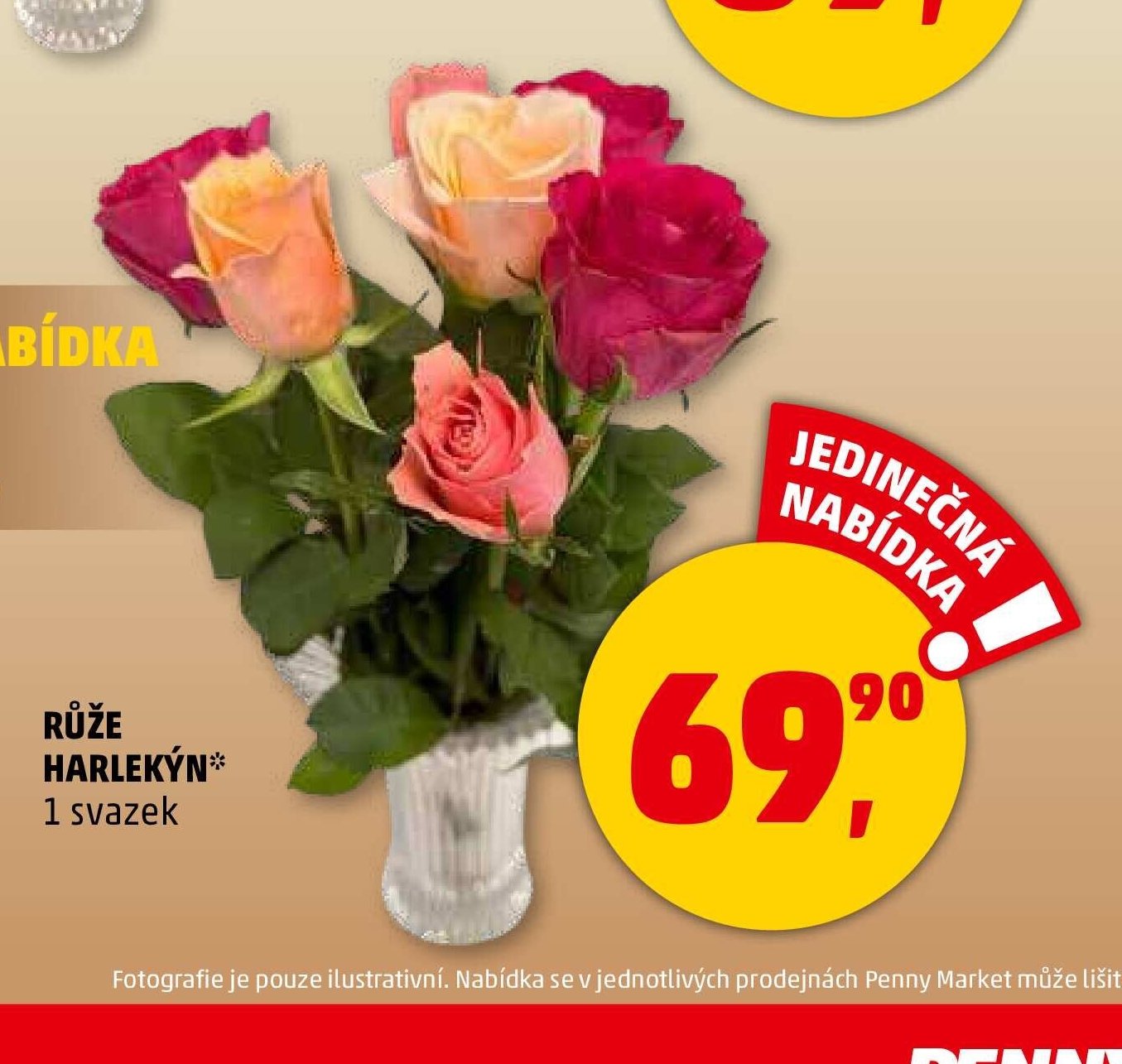 Růže harlekýn - Penny Market aktualniletaky.eu