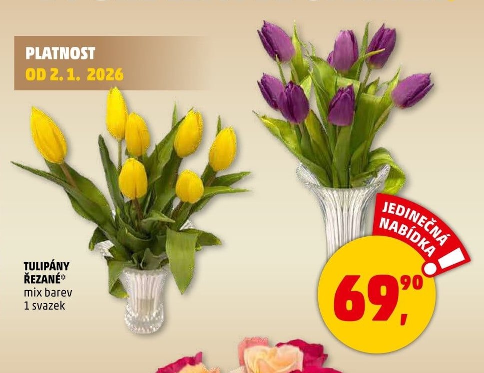 Tulipány řezané - Penny Market aktualniletaky.eu