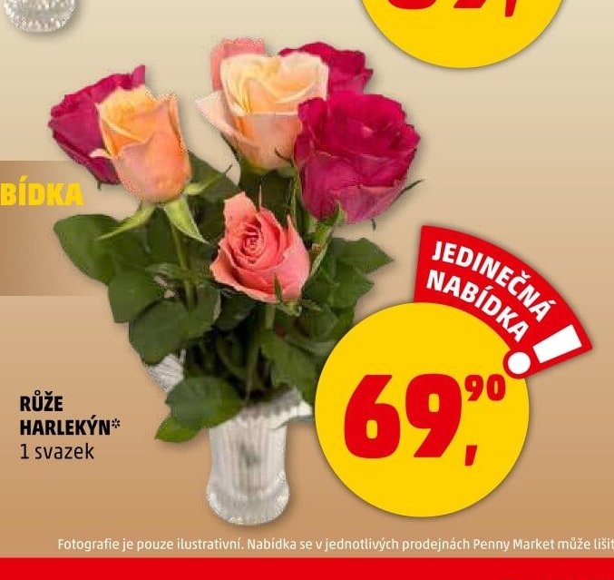 Růže Harlekýn - Penny Market aktualniletaky.eu
