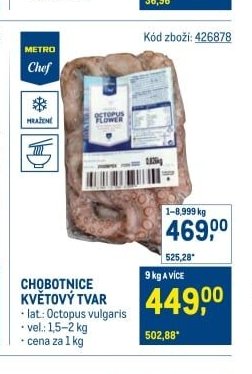 Chobotnice květový tvar