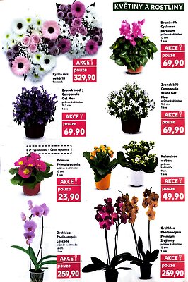 aktuální leták Kaufland 7.1.2026-13.1.2026