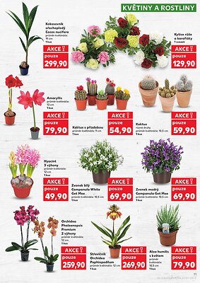 aktuální leták Kaufland 21.1.2026-27.1.2026