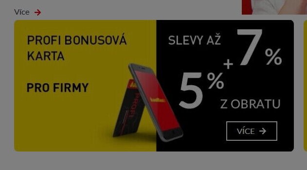 Profi bonusová karta pro firmy - bauMax aktualniletaky.eu