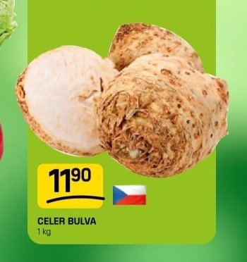 Celer bulva - FLOP aktualniletaky.eu