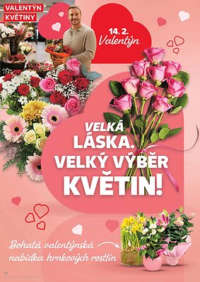aktuální leták Kaufland 11.2.2026-17.2.2026