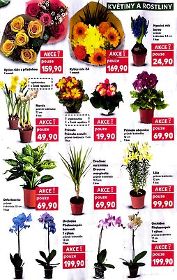 aktuální leták Kaufland 18.2.2026-24.2.2026