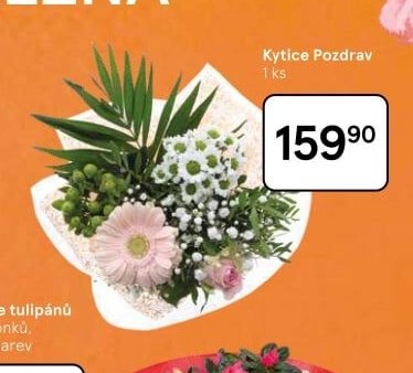 Kytice Pozdrav - Tesco aktualniletaky.eu