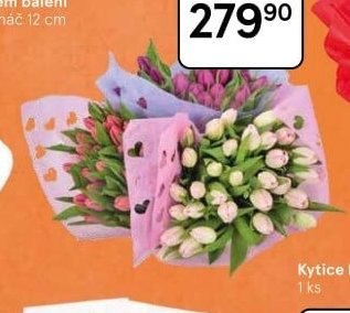 Kytice tulipánů - Tesco aktualniletaky.eu