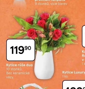 Kytice růže duo - Tesco aktualniletaky.eu